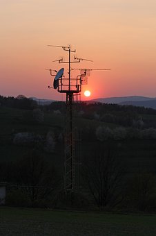 68981