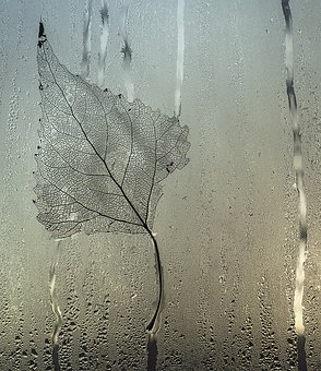 180751