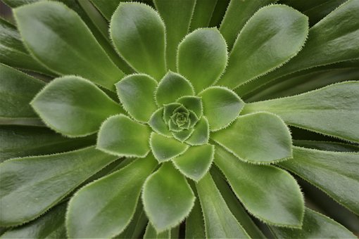 116216
