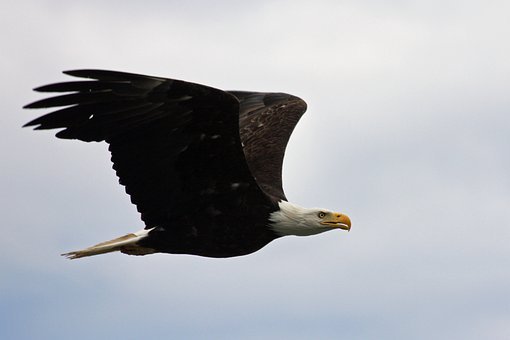 217868