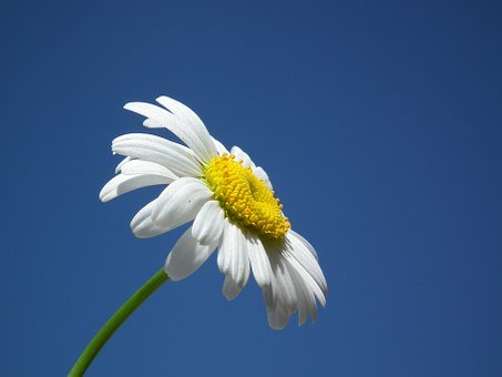 115264