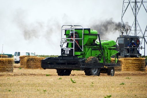 296428