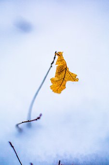 2583