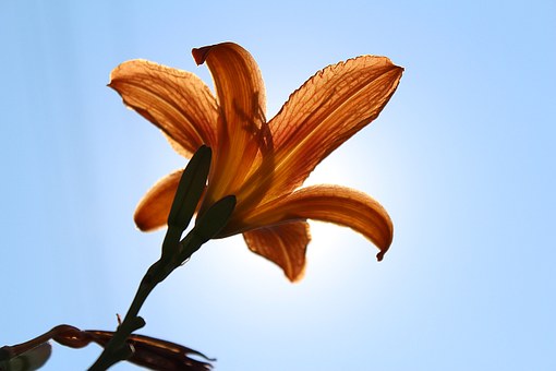 189129