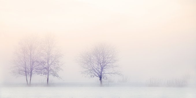 341119