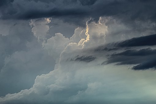 164019