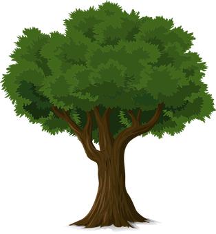 275917