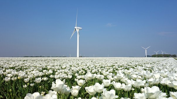 296188