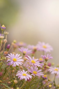 95128