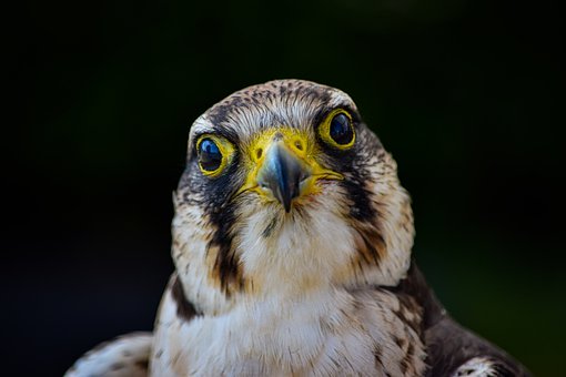 160677