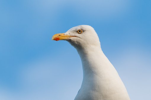 267210