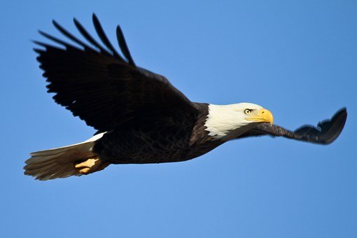 251911