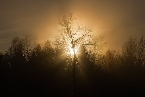 321129
