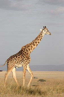 106537
