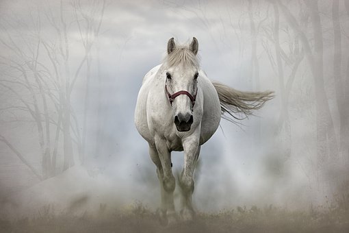 179524
