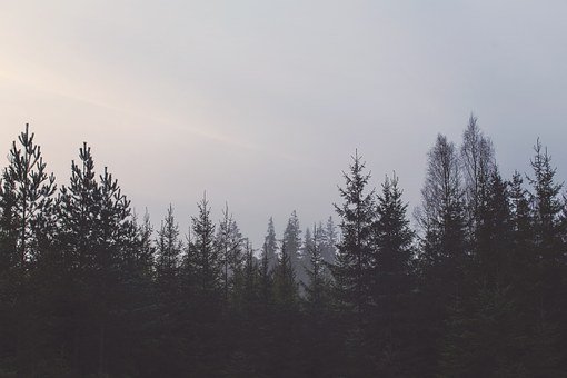 44883