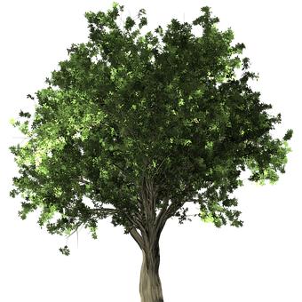 163903