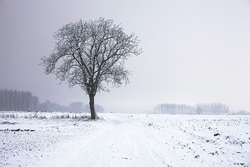 264809