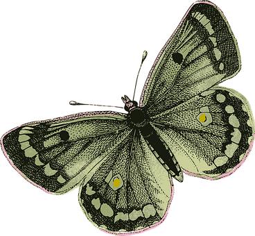 30414