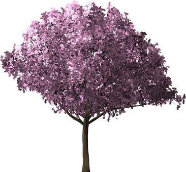 236189