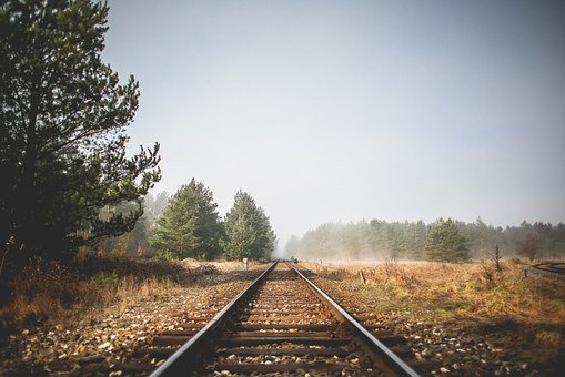 231597