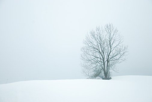 24040