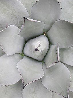 19092