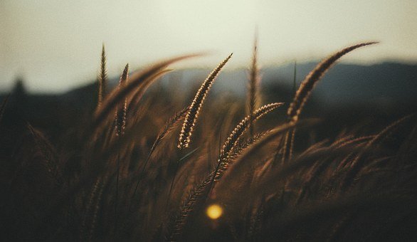 315715