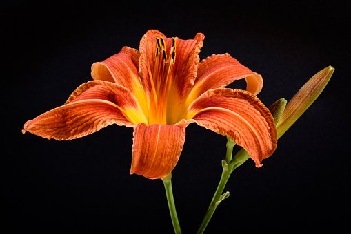 162157