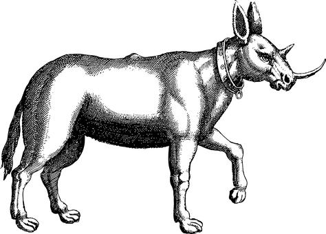 45971