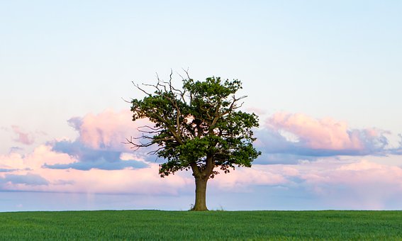 104854