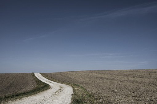 72006
