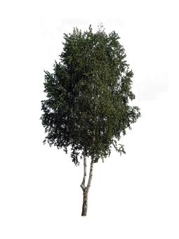 145418