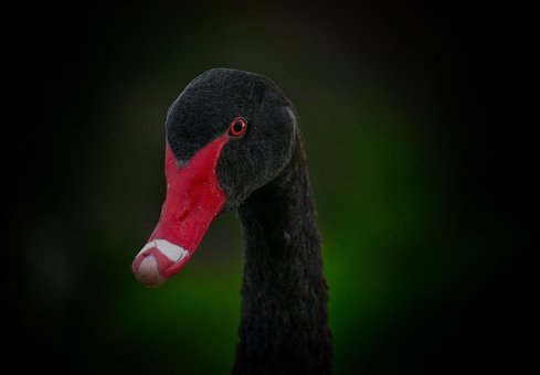 314174