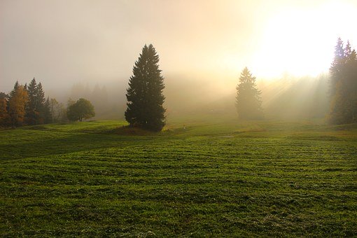 169065