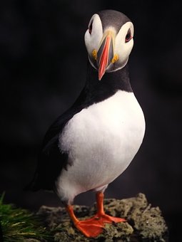 25341