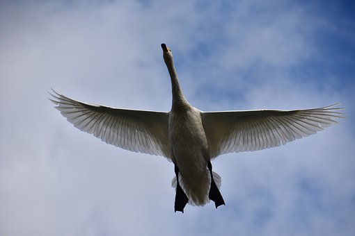 341889