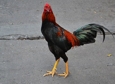 121928