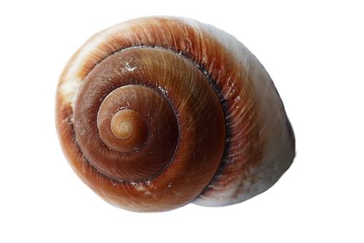 63537