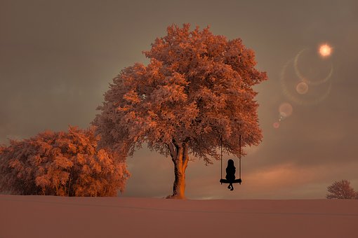 22816