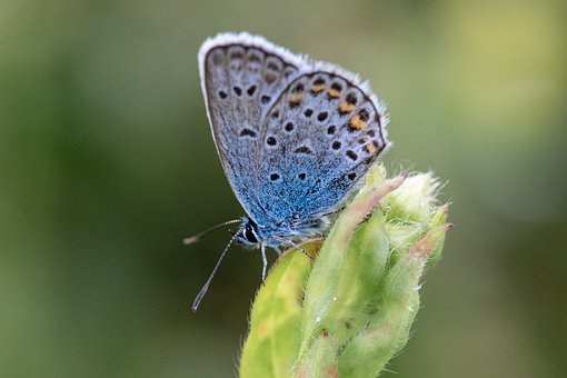 251129