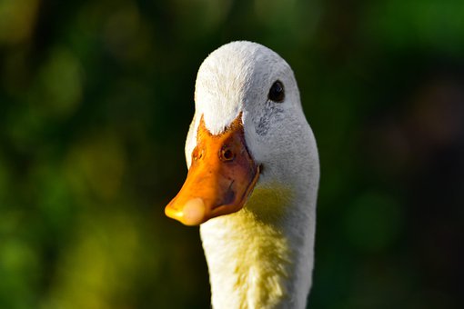 38583