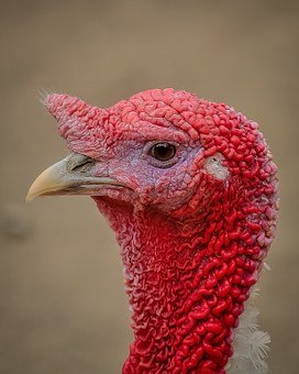 92856