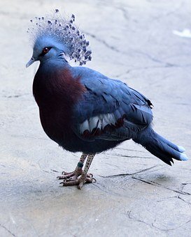329254