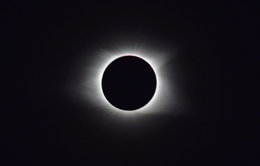 50256