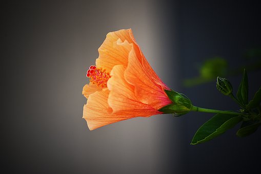 129130