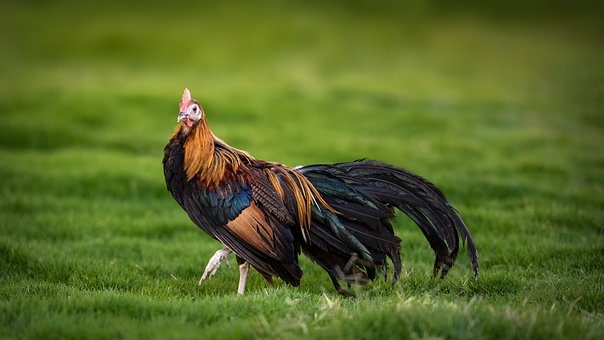 279831