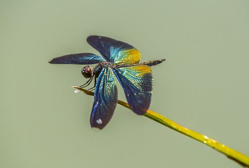 201025