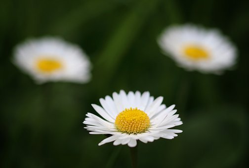 154288