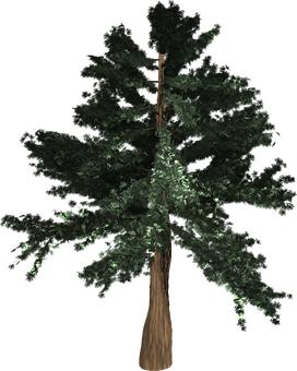 49360